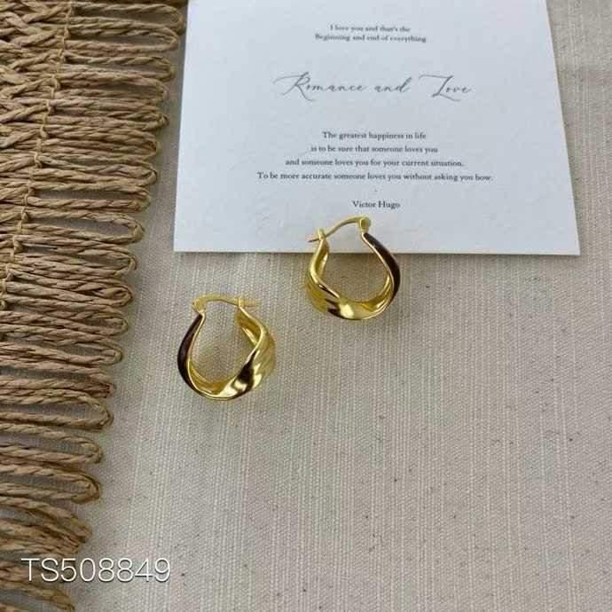 Twisted Hoop Earrings